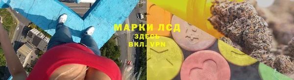 прущие грибы Алексин