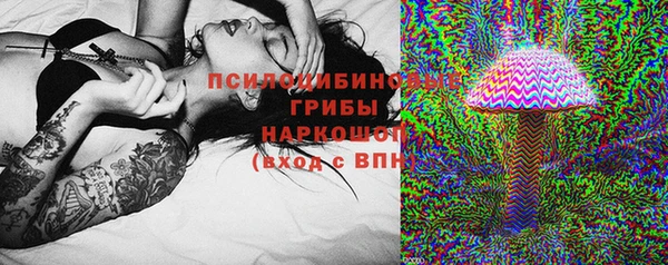 прущие грибы Алексин