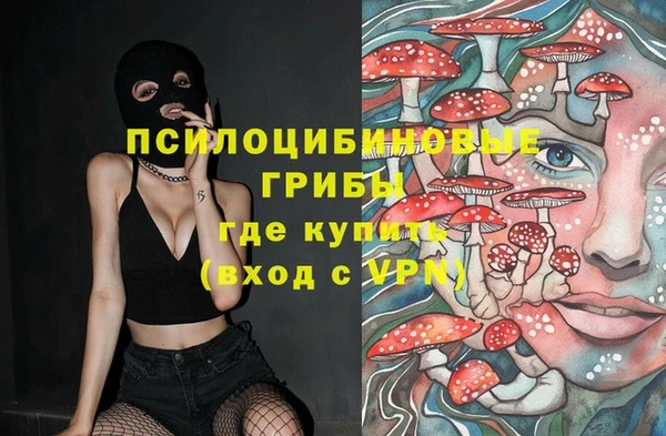 прущие грибы Алексин