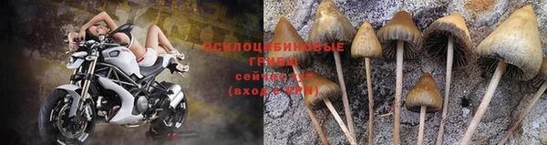 ALPHA-PVP Алзамай